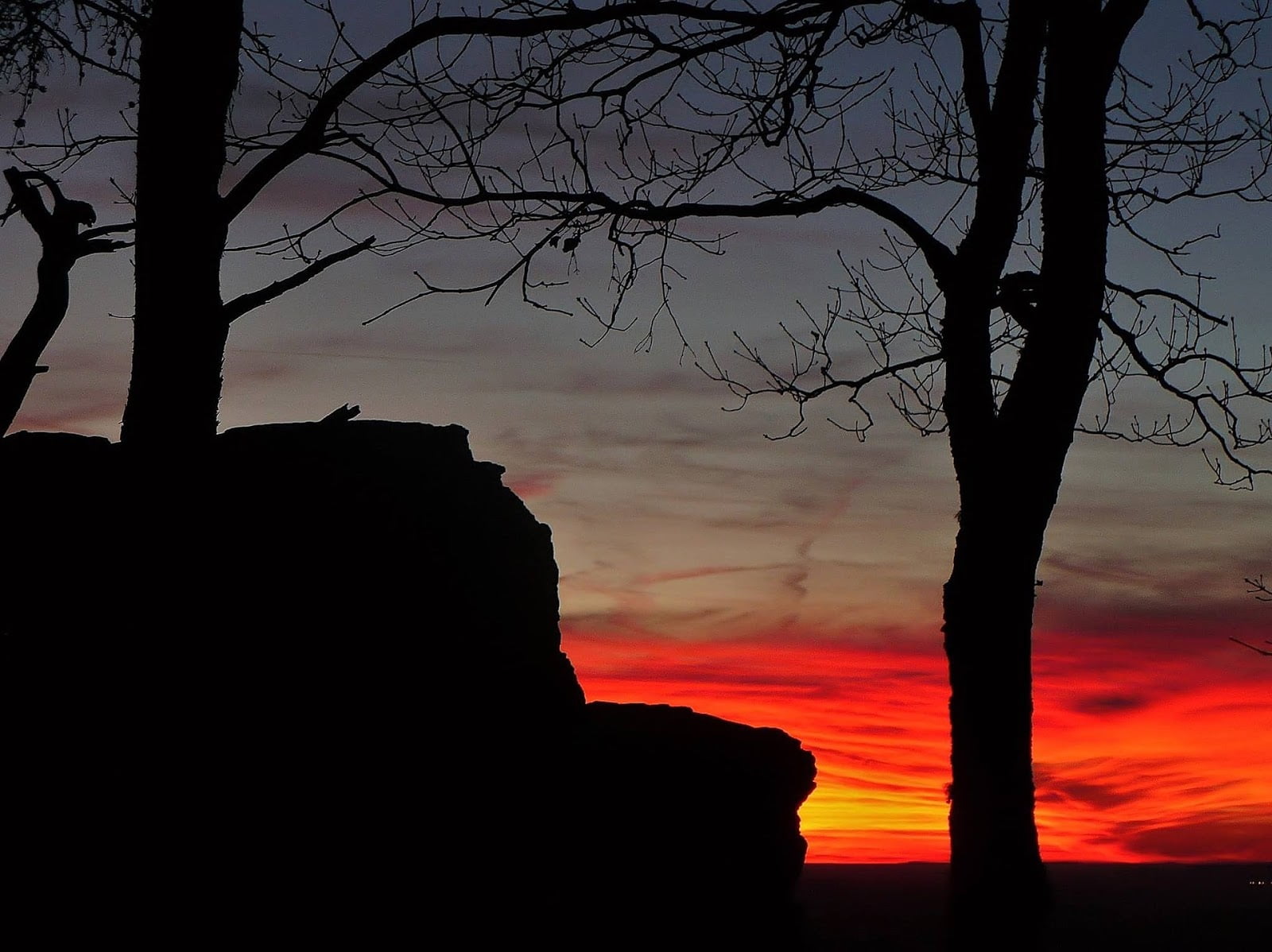 a silhouette of a person with trees and a sunset in the background