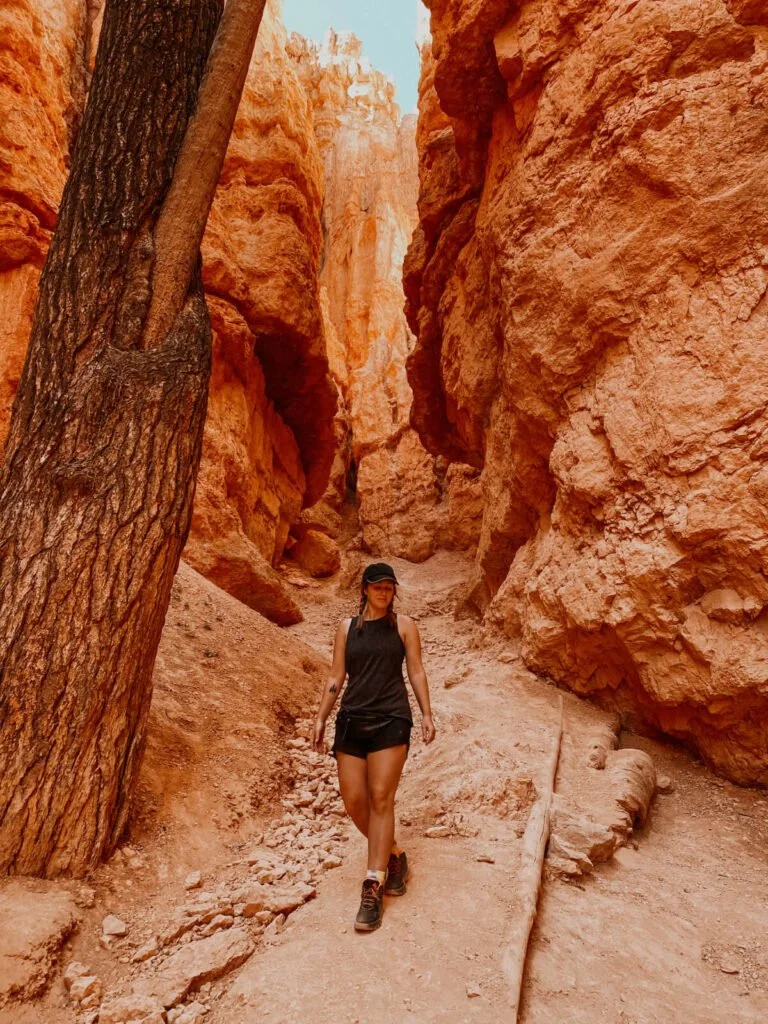 a person walking on a dirt road between trees