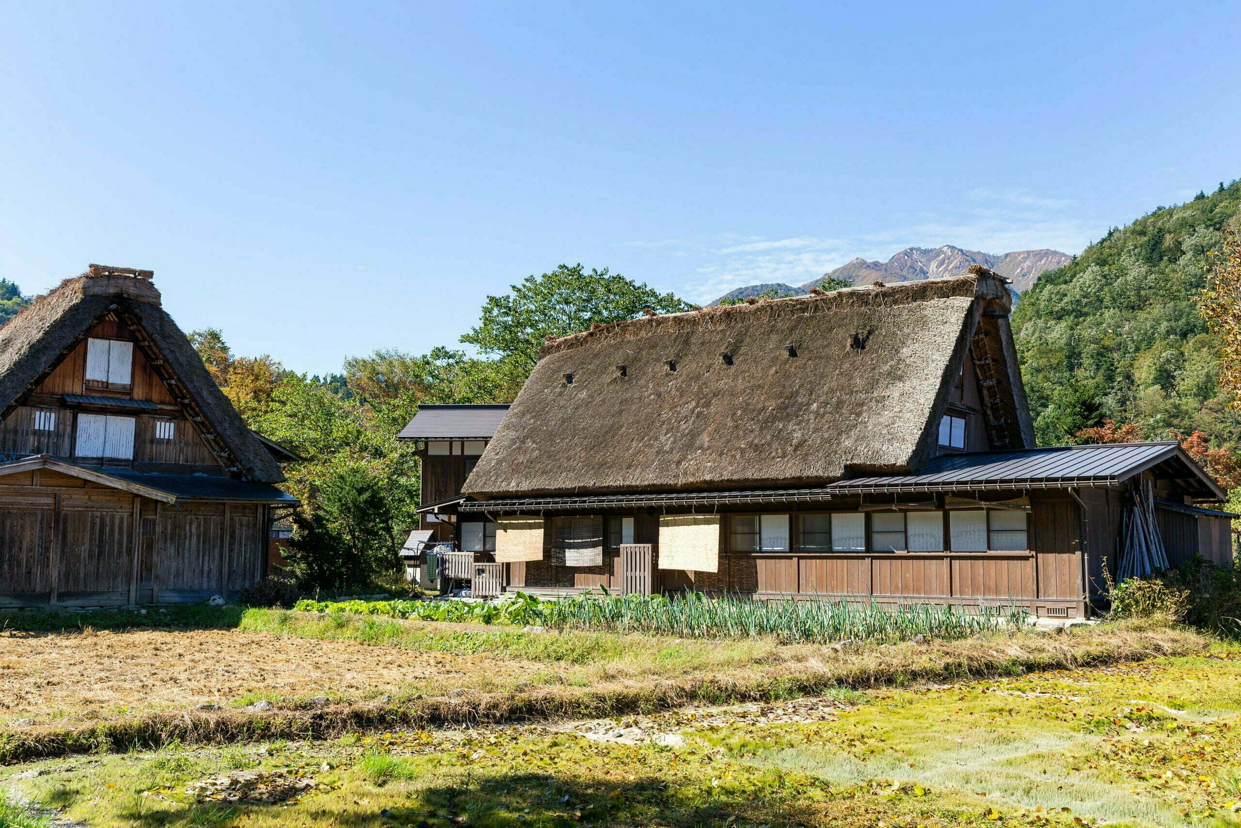House in historic village Shirakawa-go